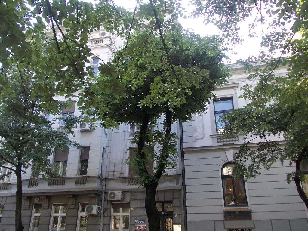Bukoleon Apartment Belgrad Exteriör bild